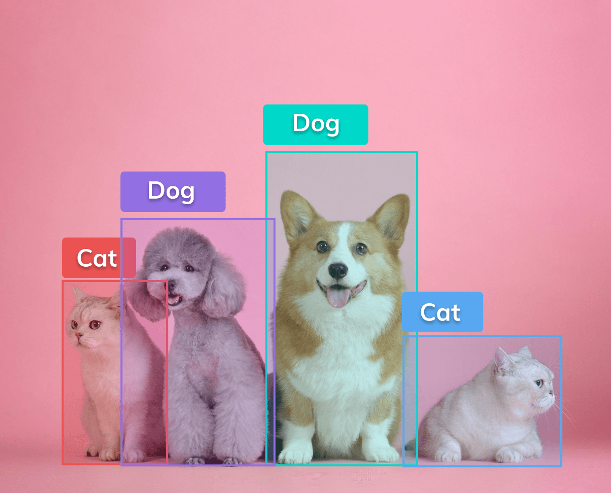 Object Detection